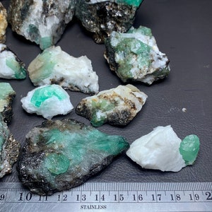 Op de afbeelding: Een verzameling ruwe smaragd kristallen in verschillende maten, vari&euml;rend van klein tot groot, ingebed in een witte en grijze matrix. De kristallen zijn een levendige groene kleur en hebben een glazige glans. Een liniaal is inbegrepen voor de schaal.