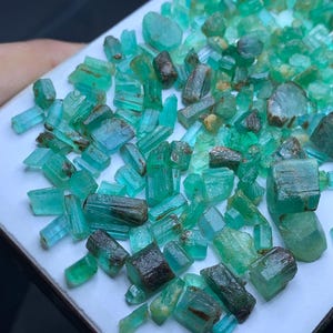 Puede incluir: Una colección de cristales de esmeralda en bruto de varias formas y tamaños. Las piedras preciosas muestran una gama de tonos verdes, desde verde azulado claro hasta verde bosque oscuro, con algunas que muestran inclusiones marrones. Los cristales están dispersos sobre una superficie blanca.