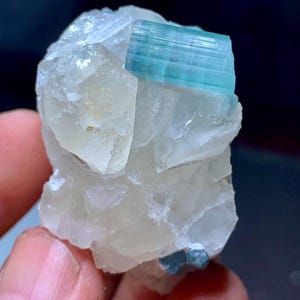 Blue tourmaline terminated crystal combine Quartz matrix collection grade specimen, indicolite, anniversary gift, birthday gift, wholesale