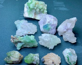 La tormalina multicolore combina il quarzo, lotto di 11 esemplari di qualità: esemplari di tormalina anguria