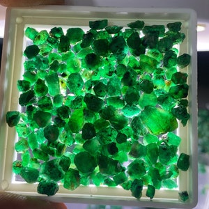 Op de afbeelding: Een close-up van een verzameling kleine, ruwe, groene smaragd edelstenen. De smaragden worden getoond in een witte vierkante schaal met een transparant plastic deksel.