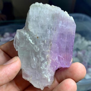 以下が含まれることがあります： 色のグラデーションを持つ、生の自然な結晶の形成。 結晶は、淡く、ほぼ半透明の白から鮮やかなラベンダー色に変化します。 鉱物の粗い質感と独特の形状が見えます。