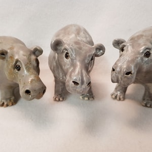 All hail the hippo