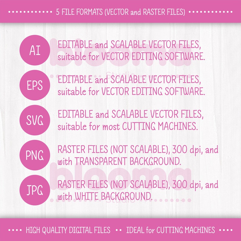 May include: A pink graphic with the text "5 FILE FORMATS (VECTOR and RASTER FILES)" at the top.  The graphic lists five file formats: AI, EPS, SVG, PNG, and JPG.  Each file format is described with its properties, such as "EDITABLE and SCALABLE VECTOR FILES, suitable for VECTOR EDITING SOFTWARE." and "RASTER FILES (NOT SCALABLE), 300 dpi, and with TRANSPARENT BACKGROUND."