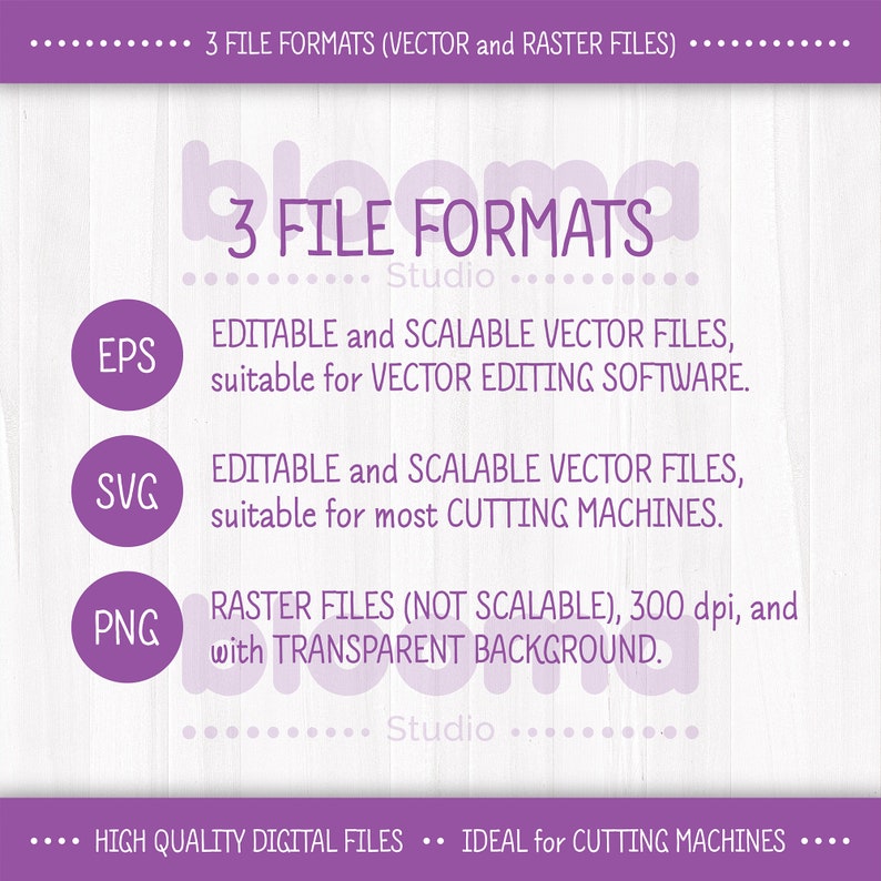 Classic Frame SVG Bundle: 38 Blank Shapes (digital Download) - Etsy