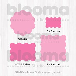 Pode incluir: Quatro etiquetas rosa em forma de concha, de diferentes tamanhos. As etiquetas medem 5 x 4,8 polegadas, 5 x 3,5 polegadas, 5 x 5 polegadas e 3 x 2 polegadas. O texto "N&Atilde;O UTILIZE as imagens do Blooma Studio como suas" est&aacute; na parte inferior da imagem.