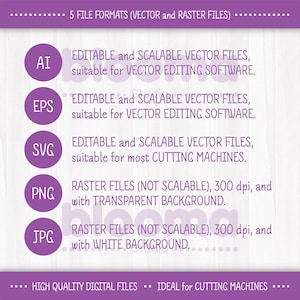 May include: A purple graphic with the text "5 FILE FORMATS (VECTOR and RASTER FILES)" at the top. The graphic lists five file formats: AI, EPS, SVG, PNG, and JPG. Each file format is described with its properties and uses. For example, AI, EPS, and SVG are described as "EDITABLE and SCALABLE VECTOR FILES" and PNG and JPG are described as "RASTER FILES (NOT SCALABLE)". The graphic also includes the text "HIGH QUALITY DIGITAL FILES" and "IDEAL for CUTTING MACHINES".