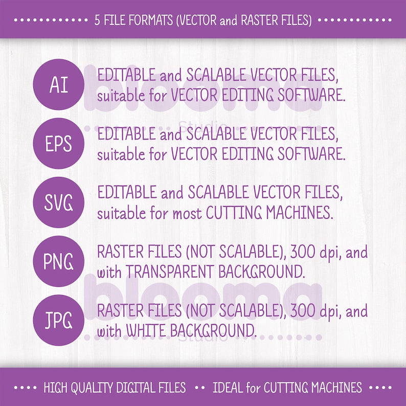 May include: A purple graphic with the text "5 FILE FORMATS (VECTOR and RASTER FILES)" at the top. The graphic lists five file formats: AI, EPS, SVG, PNG, and JPG. Each file format is described with its properties and uses. For example, AI, EPS, and SVG are described as "EDITABLE and SCALABLE VECTOR FILES" and PNG and JPG are described as "RASTER FILES (NOT SCALABLE)". The graphic also includes the text "HIGH QUALITY DIGITAL FILES" and "IDEAL for CUTTING MACHINES".
