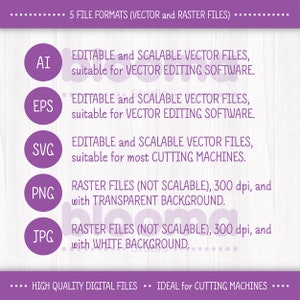 May include: A purple graphic with the text "5 FILE FORMATS (VECTOR and RASTER FILES)" at the top. The graphic lists five file formats: AI, EPS, SVG, PNG, and JPG. Each file format is described with its properties and uses. For example, AI, EPS, and SVG are described as "EDITABLE and SCALABLE VECTOR FILES" and PNG and JPG are described as "RASTER FILES (NOT SCALABLE)". The graphic also includes the text "HIGH QUALITY DIGITAL FILES" and "IDEAL for CUTTING MACHINES".