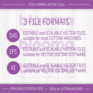 May include: Purple graphic with the text "3 FILE FORMATS" and the file types SVG, EPS, and AI. Each file type is described as editable and scalable vector files, suitable for cutting machines and vector editing software.