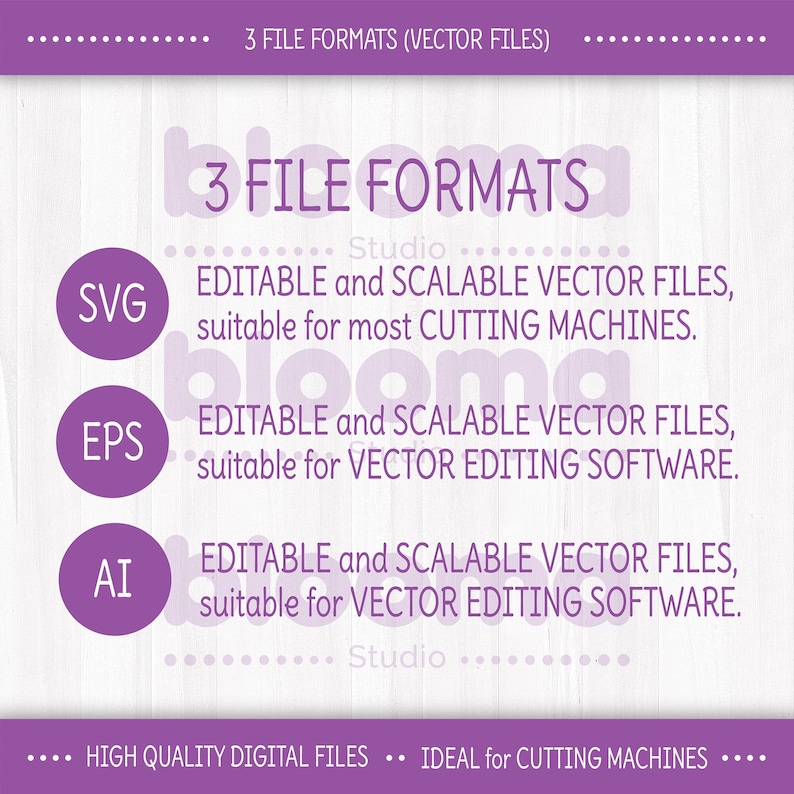 May include: Purple graphic with the text "3 FILE FORMATS" and the file types SVG, EPS, and AI. Each file type is described as editable and scalable vector files, suitable for cutting machines and vector editing software.