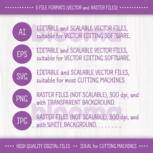 Puede incluir: Un gr&aacute;fico morado con texto que describe los diferentes formatos de archivo disponibles para descargas digitales. Los formatos de archivo incluyen AI, EPS, SVG, PNG y JPG. El texto tambi&eacute;n describe los tipos de archivo como archivos vectoriales o r&aacute;ster.