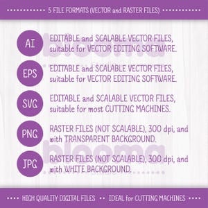 May include: A graphic showing five different file formats for digital files. The file formats are AI, EPS, SVG, PNG, and JPG. The graphic explains that AI, EPS, and SVG are vector files that are editable and scalable. PNG and JPG are raster files that are not scalable. The graphic also states that PNG files have a transparent background and JPG files have a white background. The graphic states that the files are high quality and ideal for cutting machines.