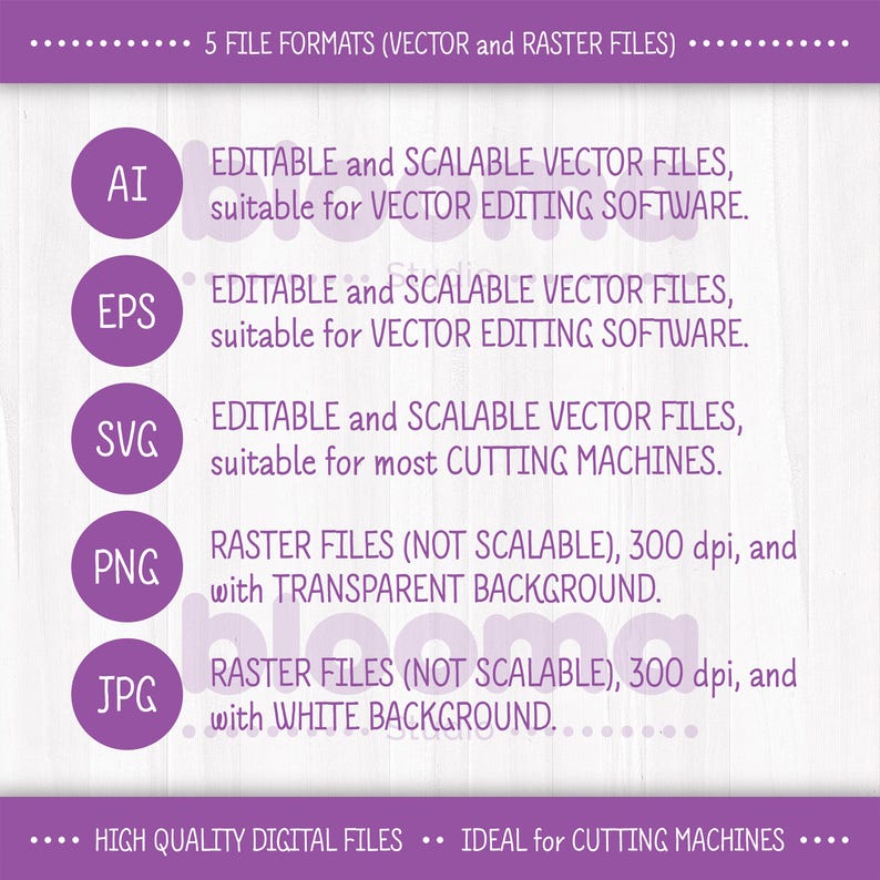 May include: A graphic showing five different file formats for digital files. The file formats are AI, EPS, SVG, PNG, and JPG. The graphic explains that AI, EPS, and SVG are vector files that are editable and scalable. PNG and JPG are raster files that are not scalable. The graphic also states that PNG files have a transparent background and JPG files have a white background. The graphic states that the files are high quality and ideal for cutting machines.