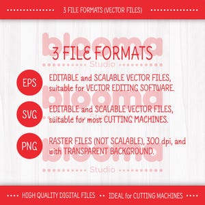 May include: Red graphic with the text "3 FILE FORMATS" and descriptions of EPS, SVG, and PNG file types. The image highlights editable and scalable vector files suitable for vector editing software and cutting machines.