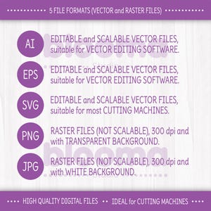May include: A graphic showing five different file formats for digital downloads. The file formats are AI, EPS, SVG, PNG, and JPG. The graphic explains that AI, EPS, and SVG are vector files that are editable and scalable. PNG and JPG are raster files that are not scalable. PNG files have a transparent background, while JPG files have a white background.