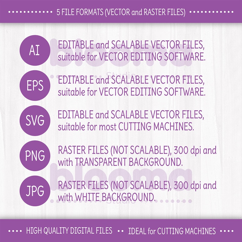 May include: A graphic showing five different file formats for digital downloads. The file formats are AI, EPS, SVG, PNG, and JPG. The graphic explains that AI, EPS, and SVG are vector files that are editable and scalable. PNG and JPG are raster files that are not scalable. PNG files have a transparent background, while JPG files have a white background.