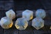 Gemstone Opalite (Gold Font) Hand Carved Polyhedral Dice (And Box) DnD Dice Set - RPG Game DND MTG Game 