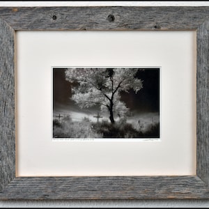 Framed Black & White Photo Print of Wounded Knee #1