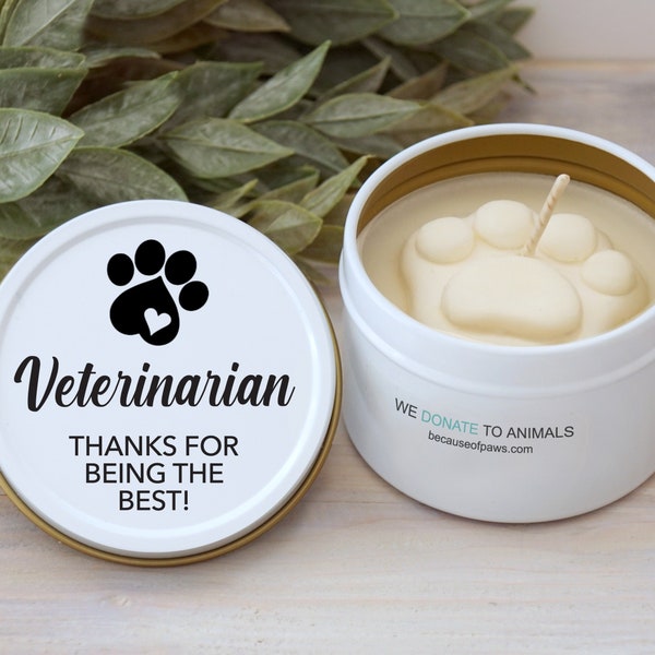 Veterinarian Office Etsy