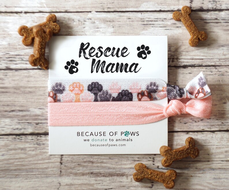 Gift Card Rescue Bbb Themehohpa
