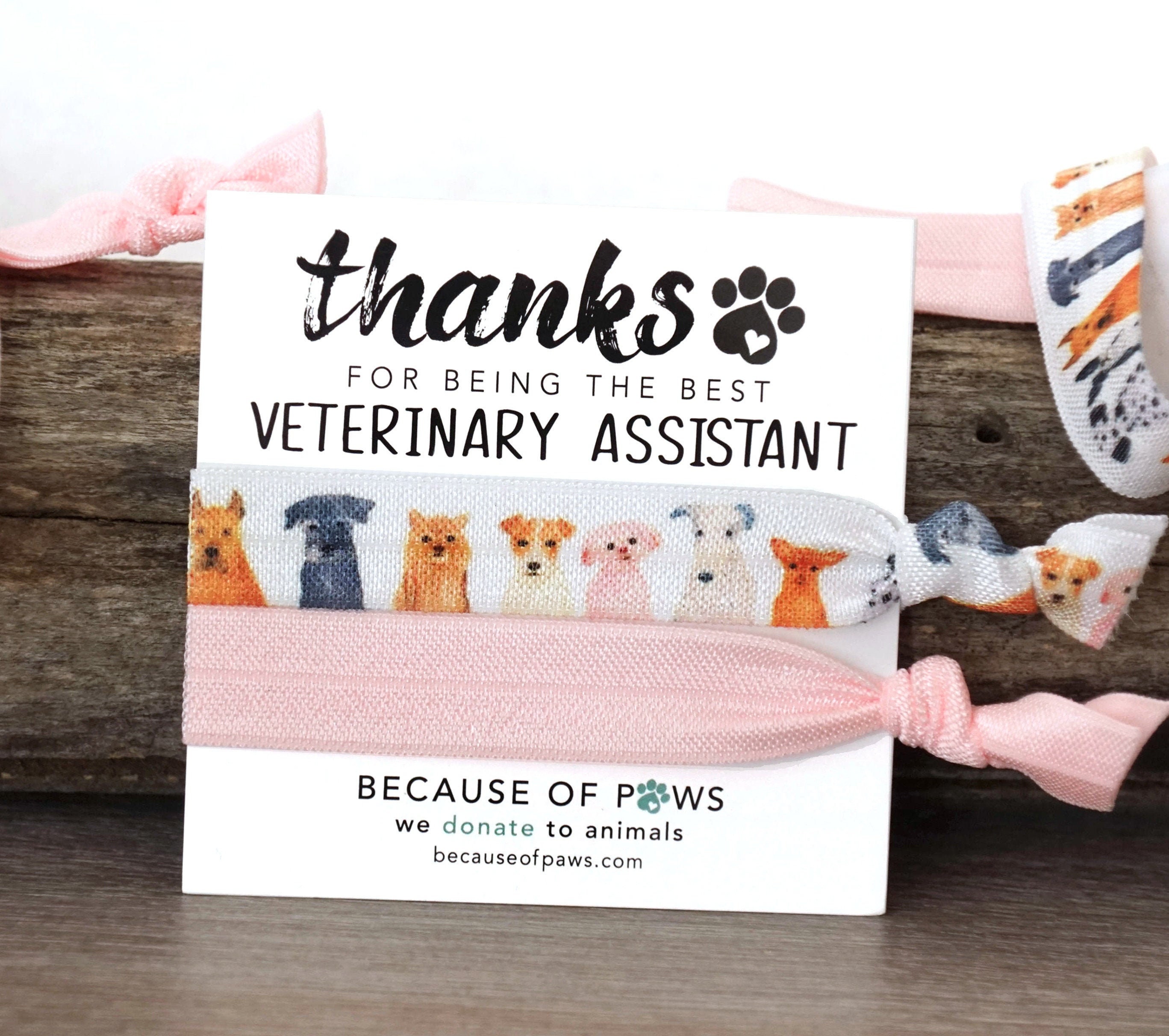 Veterinary Assistant Thank You Gift Gift for Vet Tech Vet Etsy