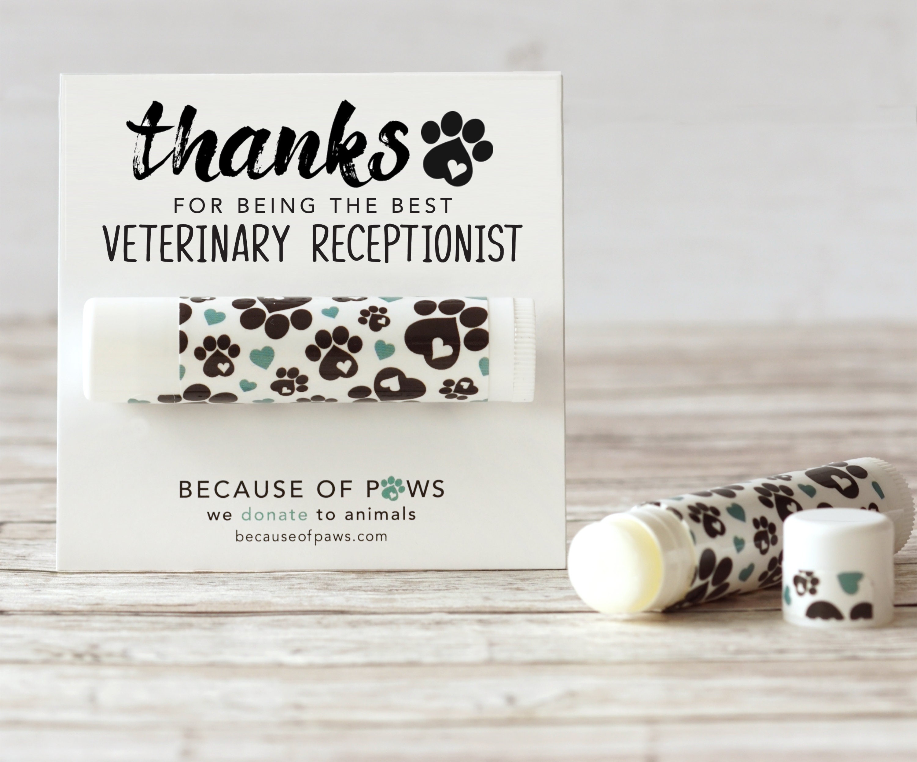 Veterinary Receptionist Gift Vet Tech Week Gift for Vet Etsy