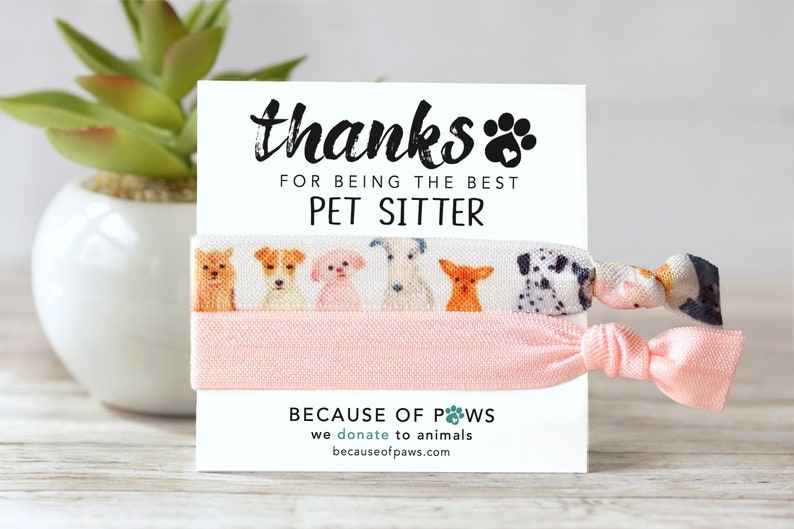 Pet Sitter Thank You Gift Christmas Gift for Pet Sitter Etsy