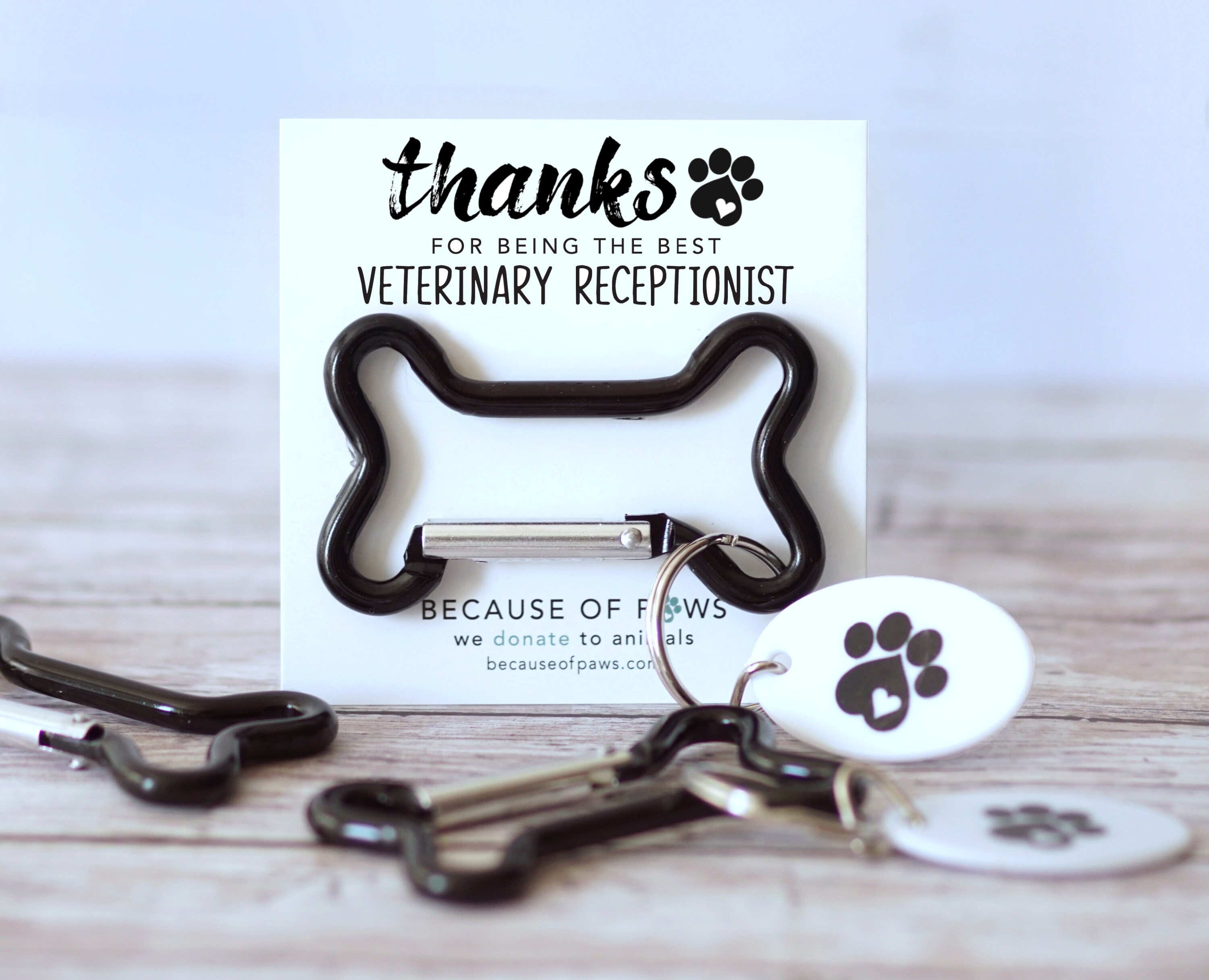 Veterinary Receptionist Gift Vet Tech Week Gift for Vet Etsy