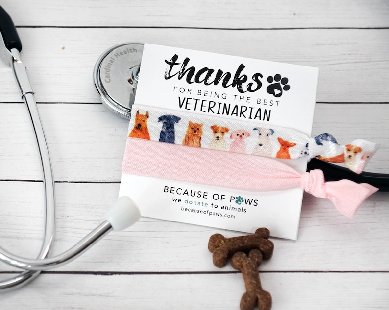 Veterinarian Thank You Gift Vet Tech Week Vet Office Gifts Etsy