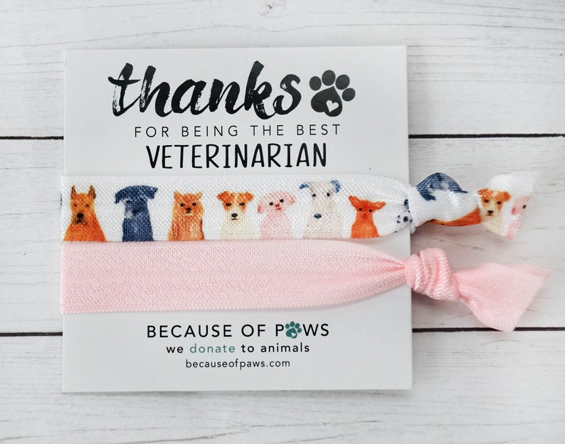 Veterinarian Thank You Gift Vet Tech Week Vet Office Gifts Etsy