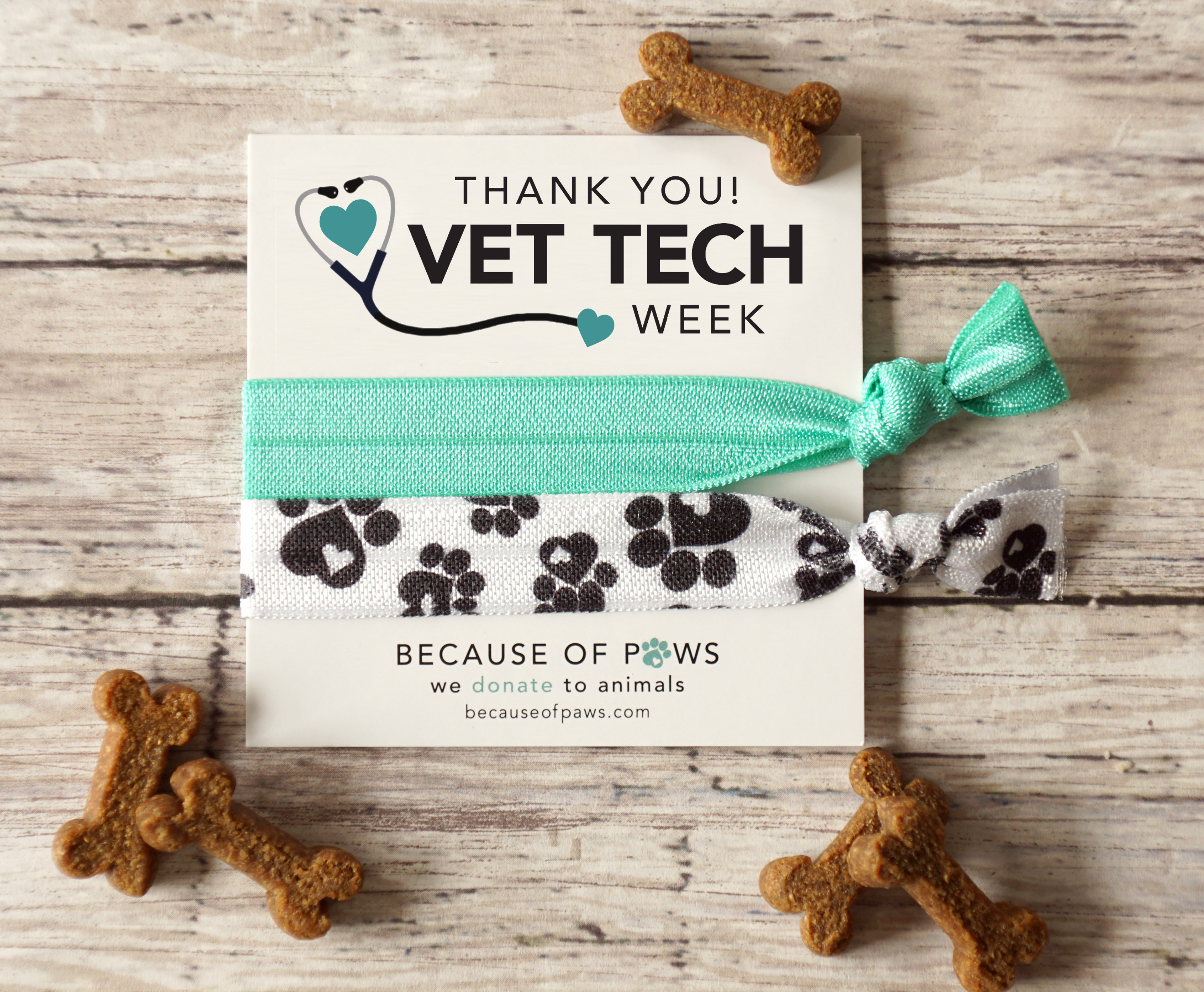 Vet Tech Thank You Gift Vet Tech Week Veterinary Etsy