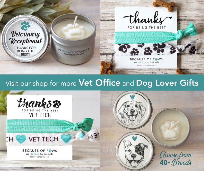 Veterinary Receptionist Thank You Vet Office Gifts Under 5 Etsy