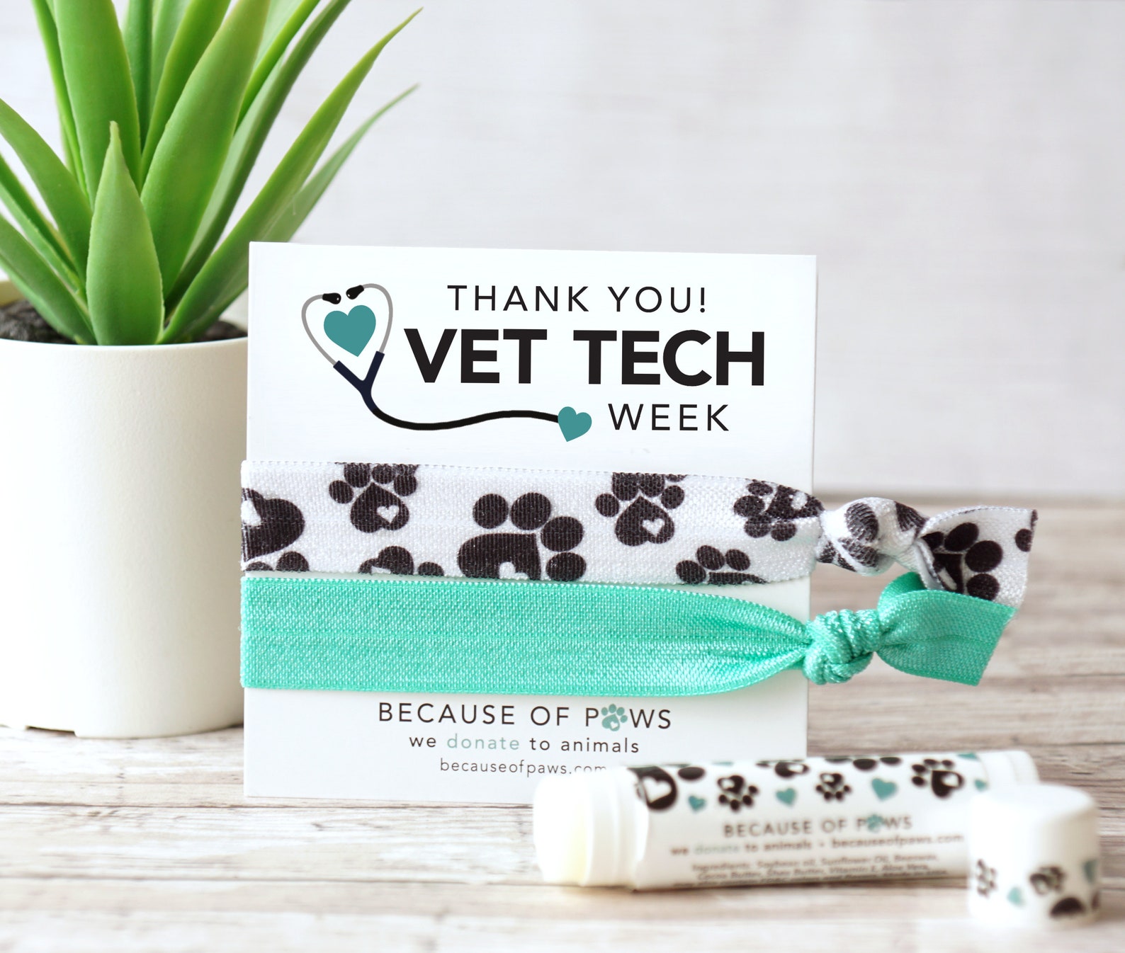 Vet Tech Week 2024 Gift Ideas Sibel Drusilla