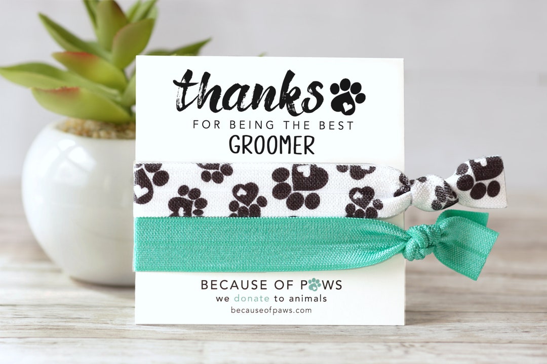 Best Gift for Dog Groomer: Top Unique Ideas They'll Love