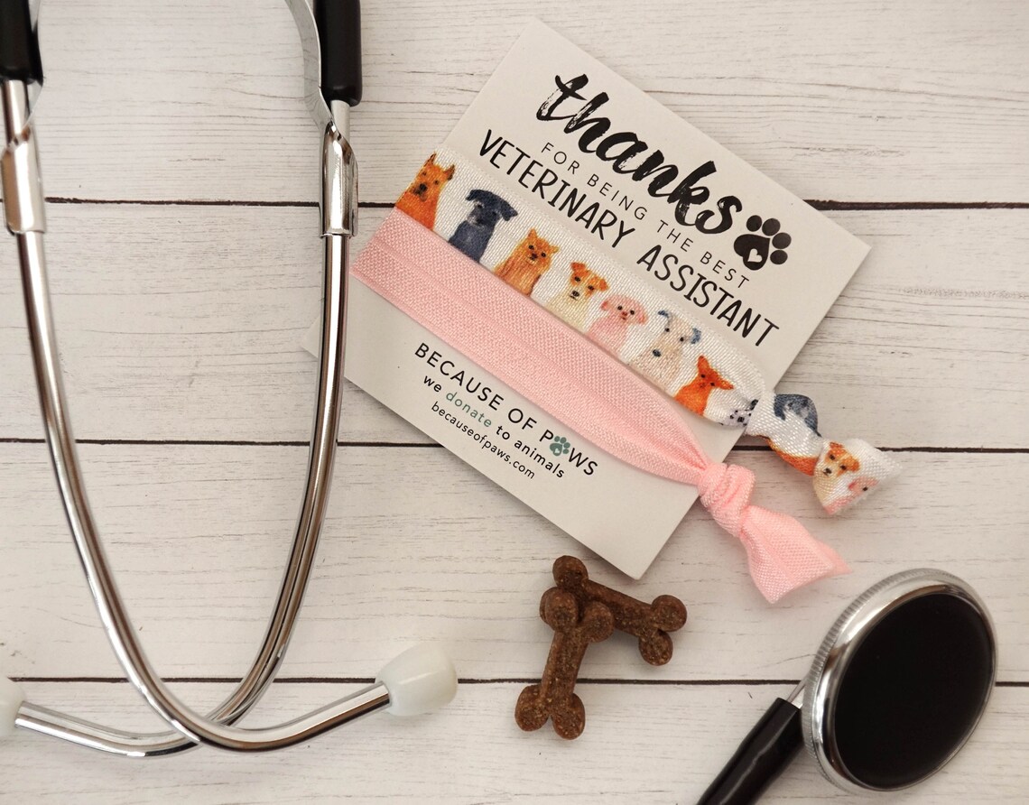 Veterinary Assistant Thank You Gift Gift for Vet Tech Vet Etsy