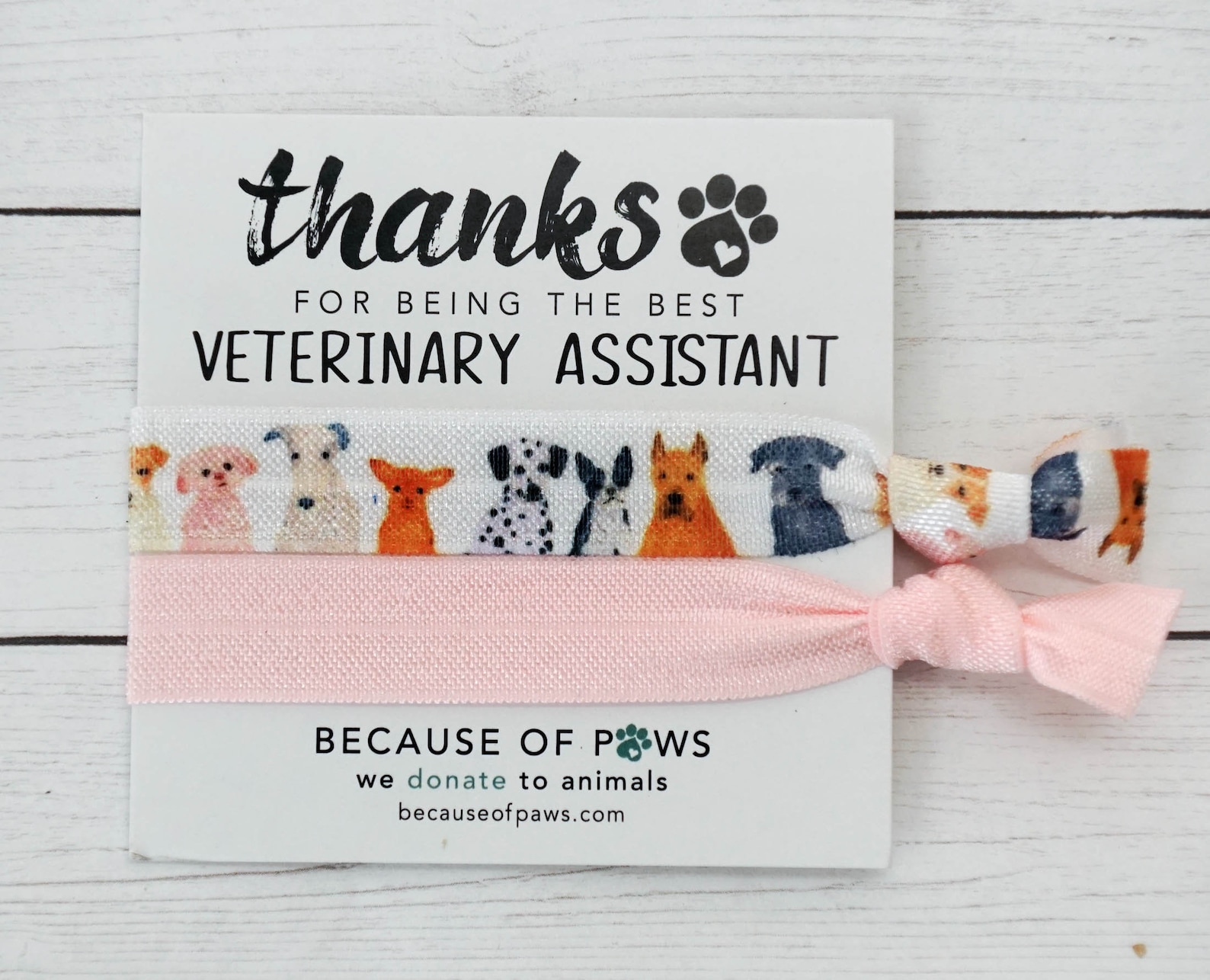 Veterinary Assistant Thank You Gift Gift for Vet Tech Vet Etsy