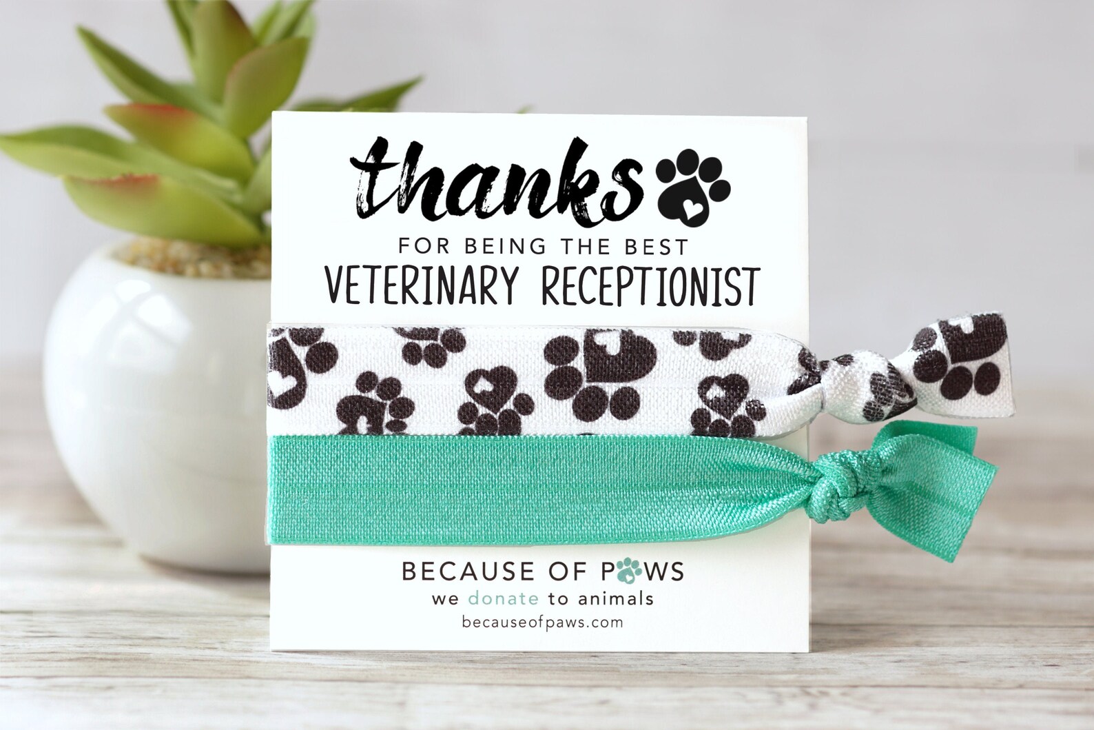 Veterinary Receptionist Thank You Gift Gift for Vet Tech Etsy