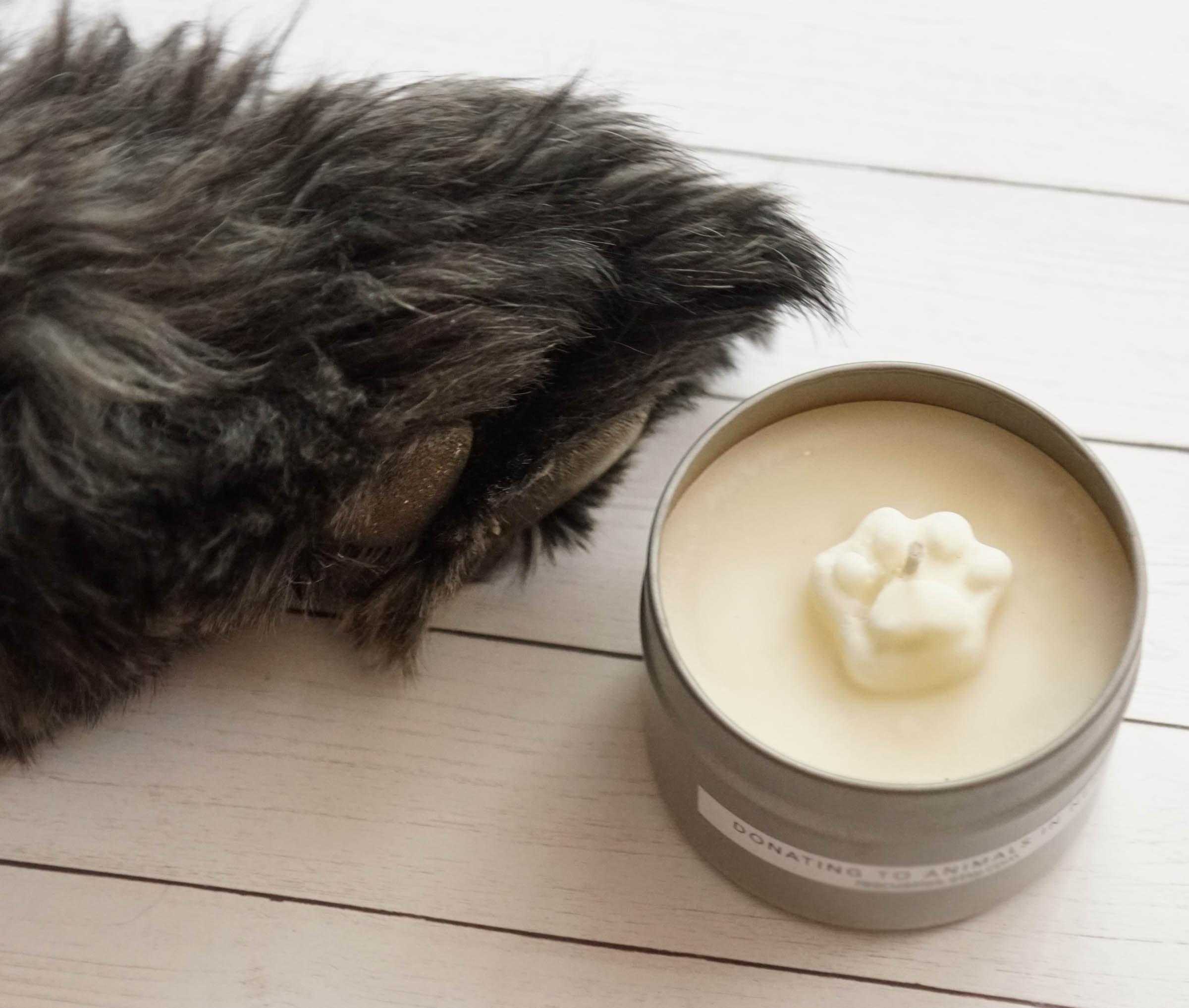 4 oz. New Home Gift Candle Dog Paw Print Soy Candle Gift Etsy