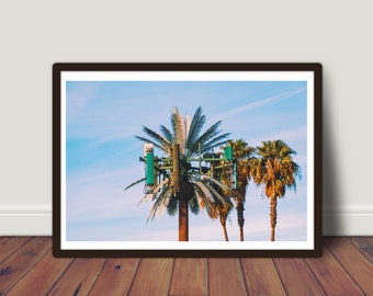 Digital Palm Tree LA