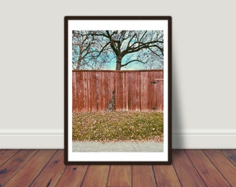 Tree in Fence in Bishop Arts Dallas