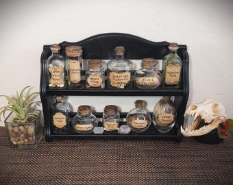 Nature Curiosities Rack: Apothecary Jars, Flora Fauna Specimens