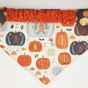 Gourds and Pumpkins Reversible Dog Bandana with Elastic Collar