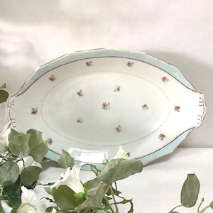 Grand Plat ovale 53 cm SARREGUEMINES VEGA