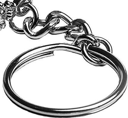 Logo Metal Key Ring – Steve Vai