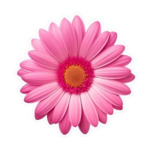 Daisy Flower Self-Adhesive Vinyl Stickers – DIY Decals For Car, Home, Wall, Laptop