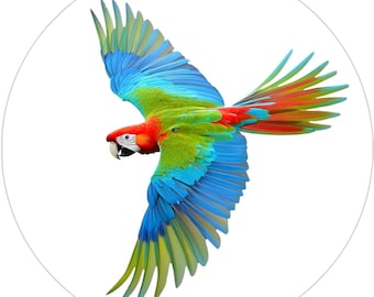 Colorful Flying Parrot Vinyl Sticker: Water Resistant Bird Decal