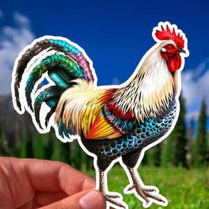 Rooster Sticker, Colorful Chicken Decal, Animal Sticker, Bright and Bold Indoor Outdoor Rooster Vinyl Decal