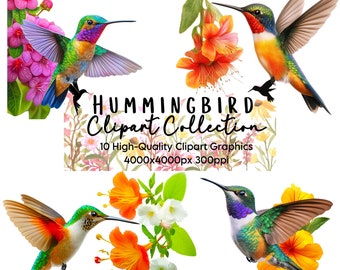 Hummingbird Flower Clipart: 10 PNG & JPG Graphics (Commercial Use)