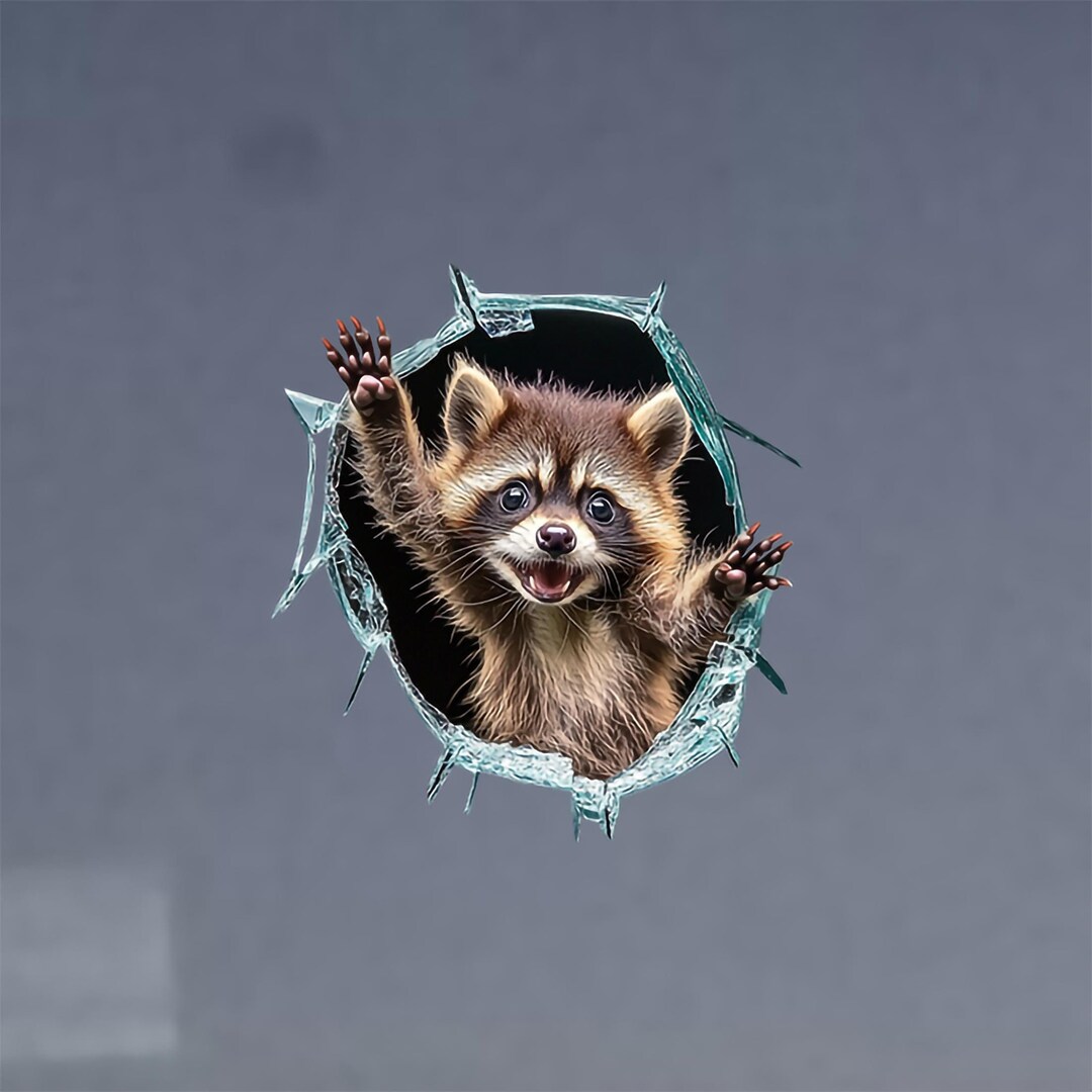 Raccoon Car Sticker, Funny Car Sticker, Funny Cute Racoon Sticker ...